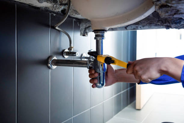  Dassel, MN Plumbing services Pros